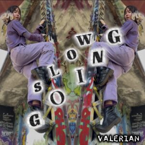 Slow Going (Digital Album) - $15